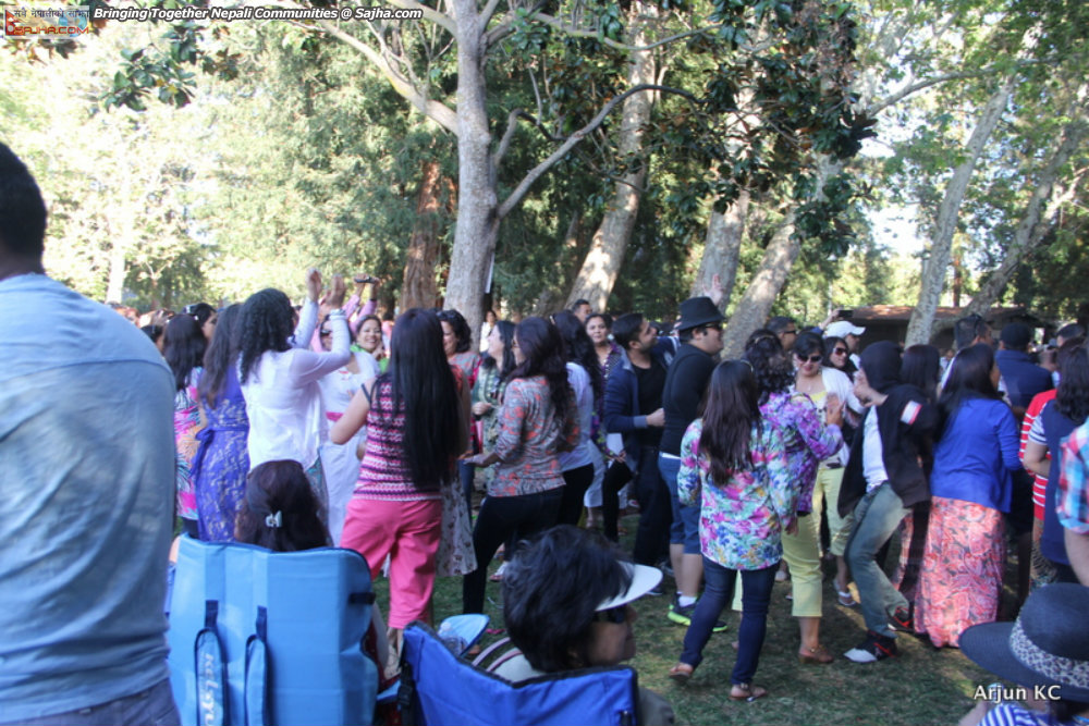 New year 2071 Sunnyvale Picnic