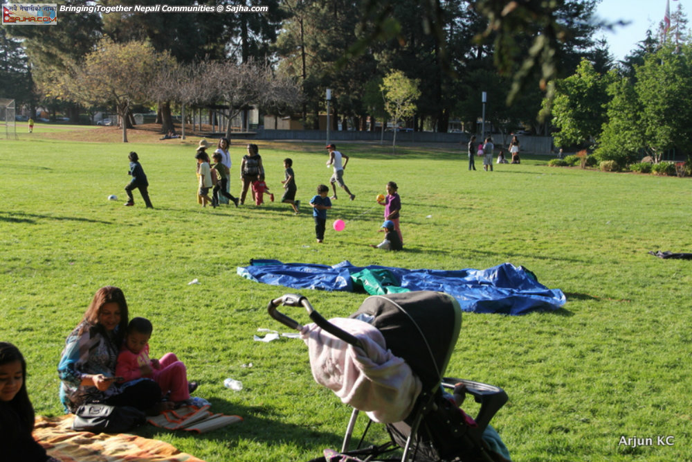New year 2071 Sunnyvale Picnic