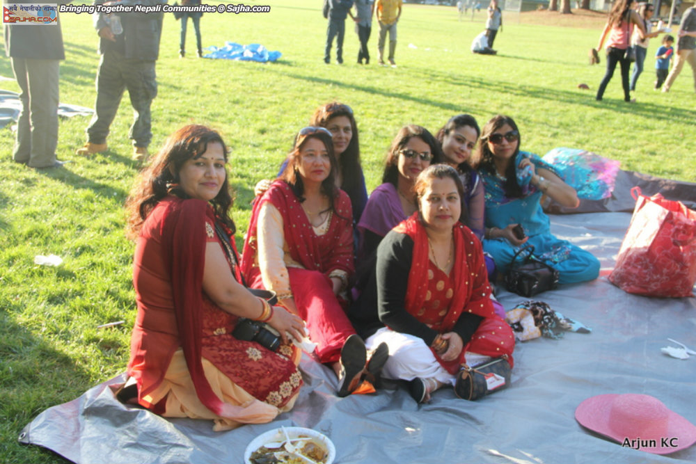 New year 2071 Sunnyvale Picnic