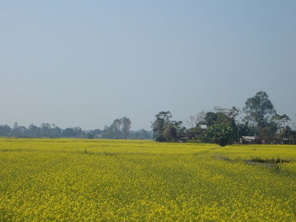 Recent Nepal Trip