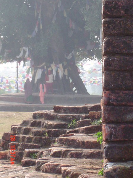Recent Nepal Trip