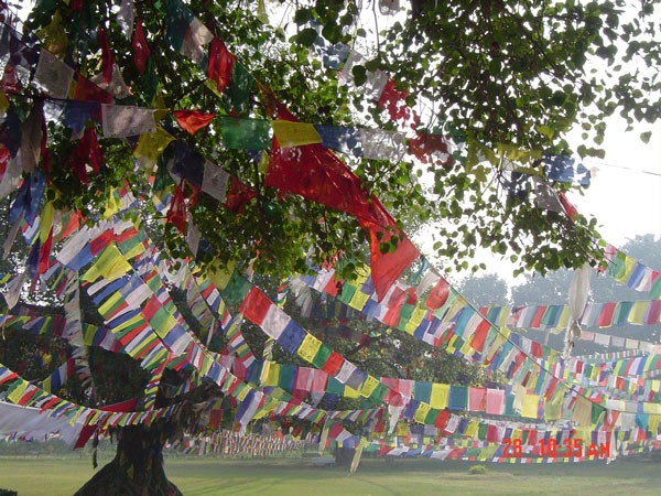 Recent Nepal Trip