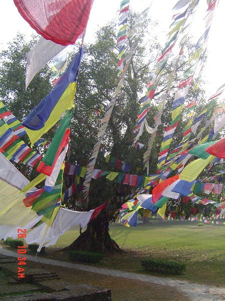 Recent Nepal Trip