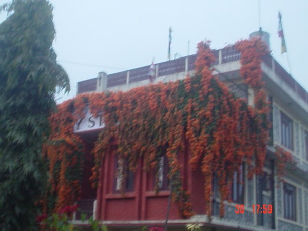 Sweet Memory of pokhara by