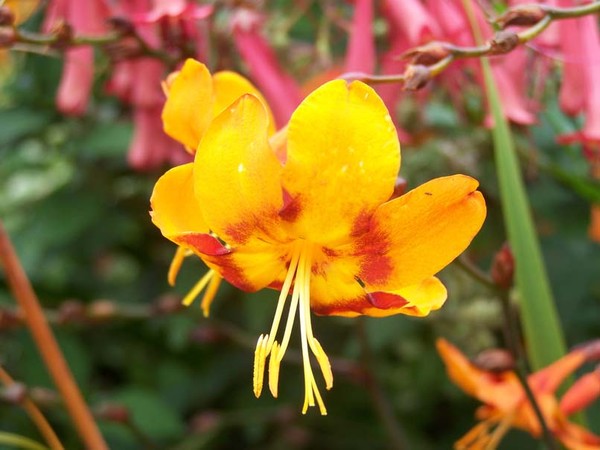 1 HR SPENT AT BOTANICAL GARDEN