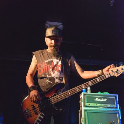 Cobweb Concert Pictures Boston