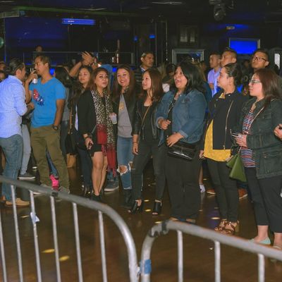 Cobweb Concert Pictures Boston