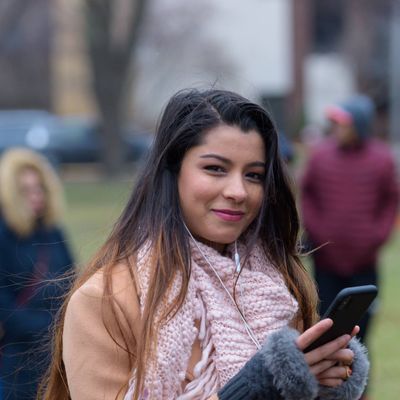 Boston Color Fest Pictures
