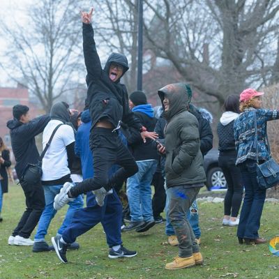 Boston Color Fest Pictures