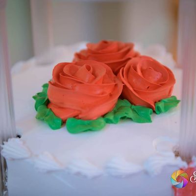 Highlights from Wedding Photography