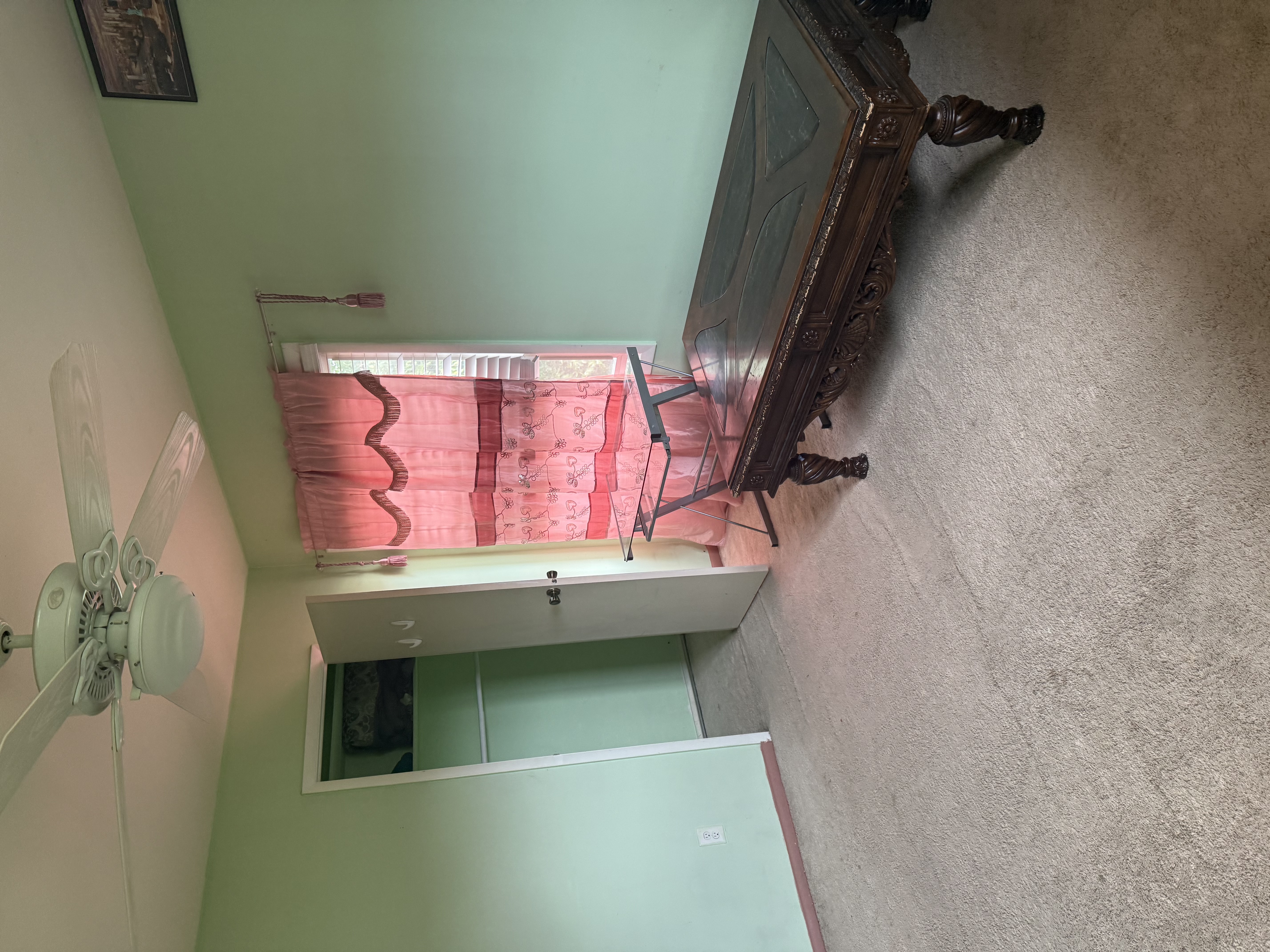 IMG_9681.jpeg